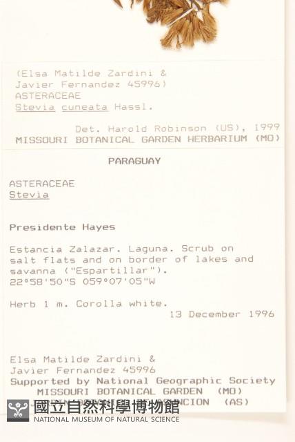 登錄號:S080555藏品圖，第2張