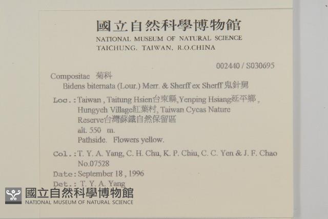 鬼針舅藏品圖，第2張