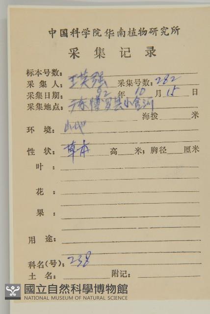 山白蘭藏品圖，第2張