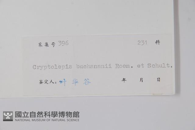 古鉤藤藏品圖，第2張