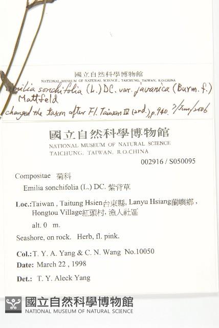 Accession Number:S050095 Collection Image, Figure 2, Total 2 Figures