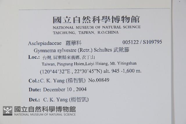 武靴藤藏品圖，第2張