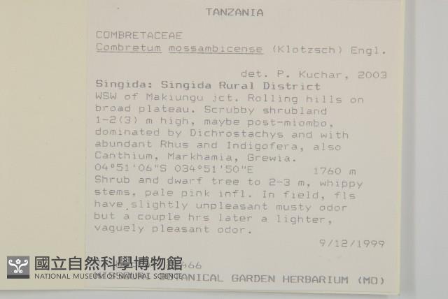 登錄號:S093795藏品圖，第2張