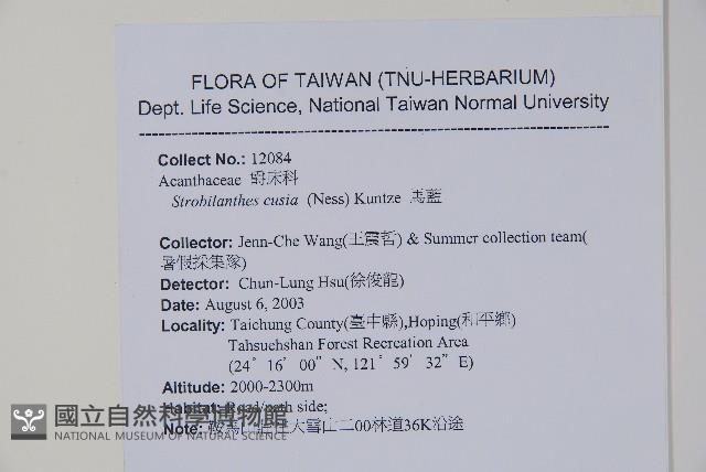 臺灣馬藍藏品圖，第2張