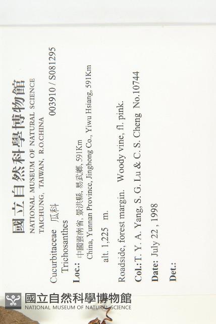 登錄號:S081295藏品圖，第2張