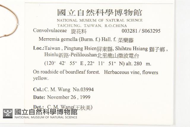 菜欒藤藏品圖，第2張