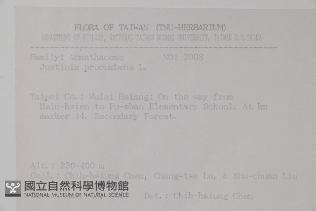 爵床藏品圖，第2張