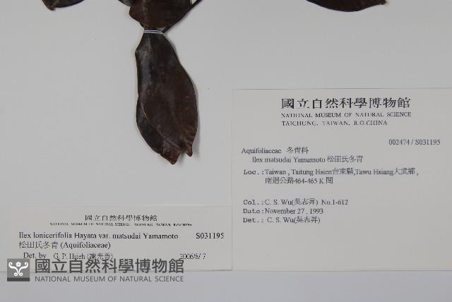 松田氏冬青藏品圖，第2張