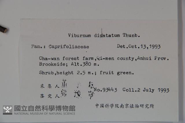 莢迷藏品圖，第2張