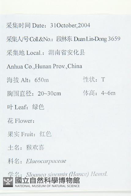 猴歡喜藏品圖，第2張