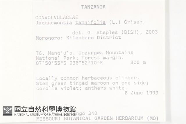 長梗毛娥房藤藏品圖，第2張