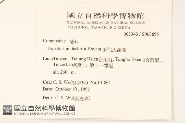 田代氏澤蘭藏品圖，第2張