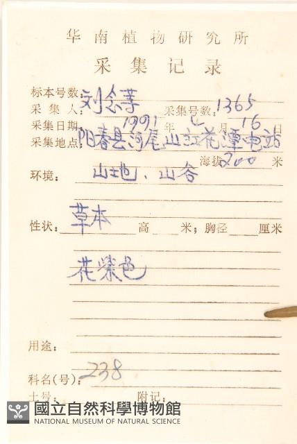 一枝香藏品圖，第2張