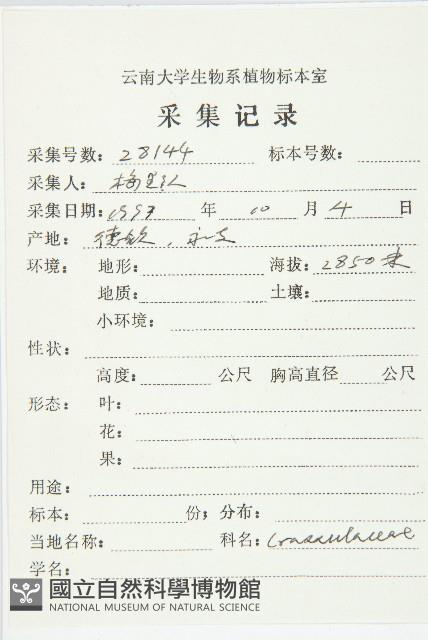 鏝瓣景天藏品圖，第2張