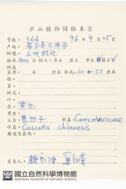 中國菟絲子藏品圖，第2張