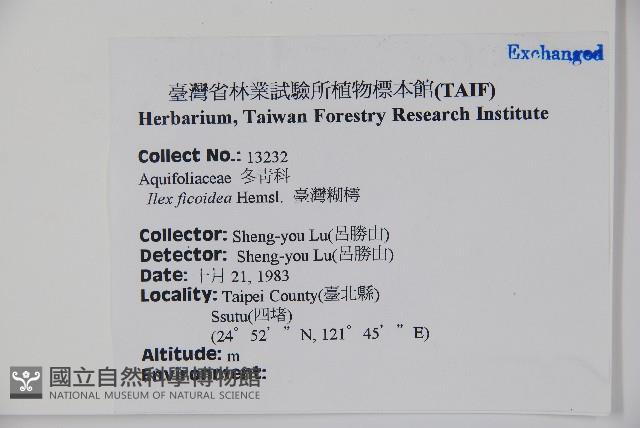 臺灣糊樗藏品圖，第2張