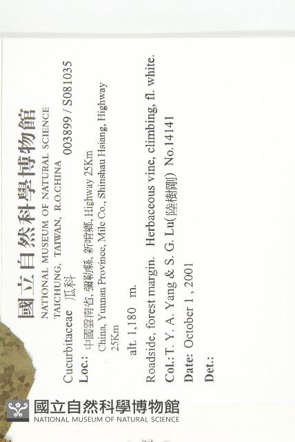 登錄號:S081035藏品圖，第2張