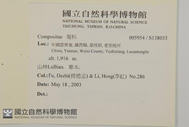 登錄號:S138035藏品圖，第2張