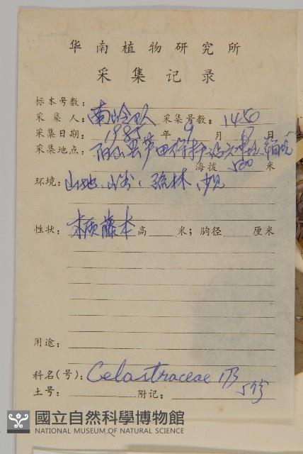 狹葉衛矛藏品圖，第2張