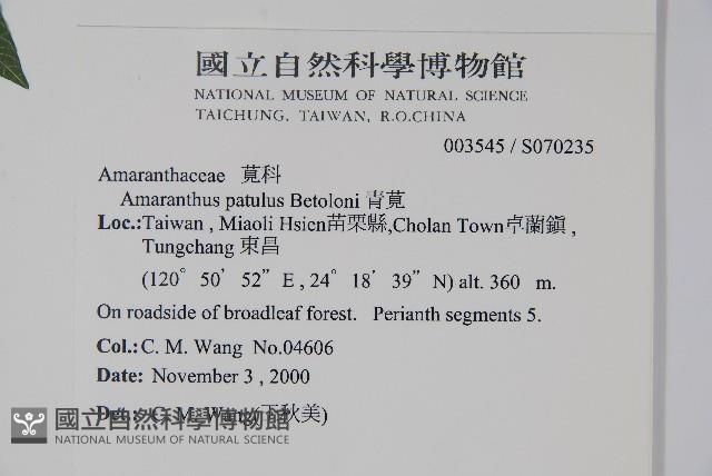 青莧藏品圖，第2張