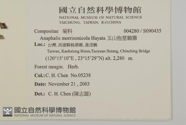 玉山抱莖籟簫藏品圖，第2張