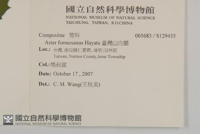 臺灣山白蘭藏品圖，第2張