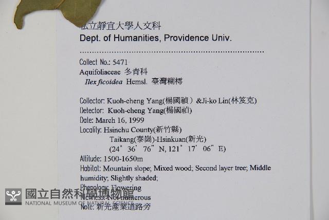 臺灣糊樗藏品圖，第2張