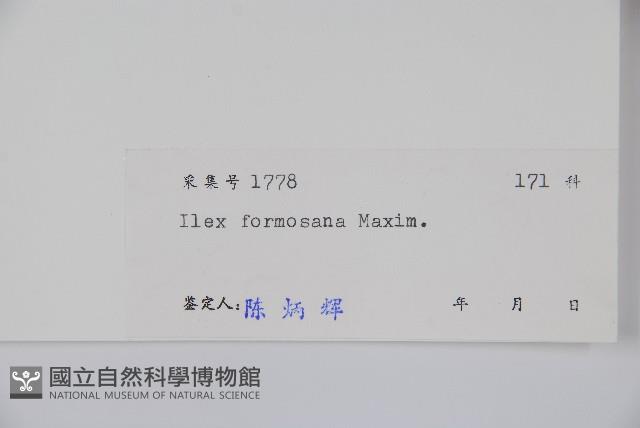 糊樗藏品圖，第2張