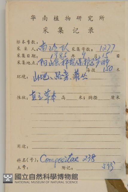 珍珠蒿、奇蒿藏品圖，第2張