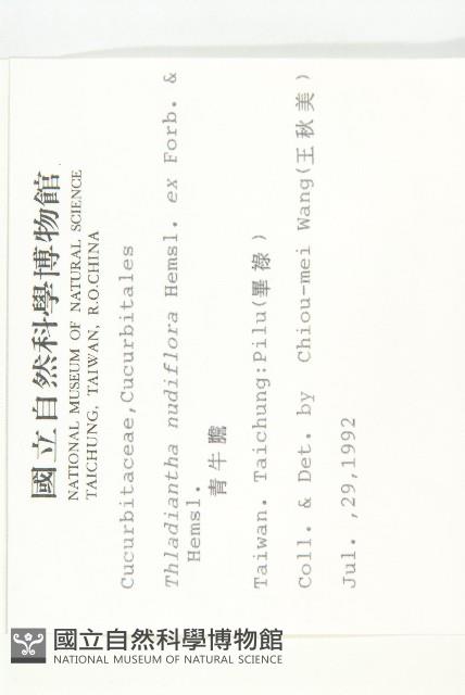 青牛膽藏品圖，第2張