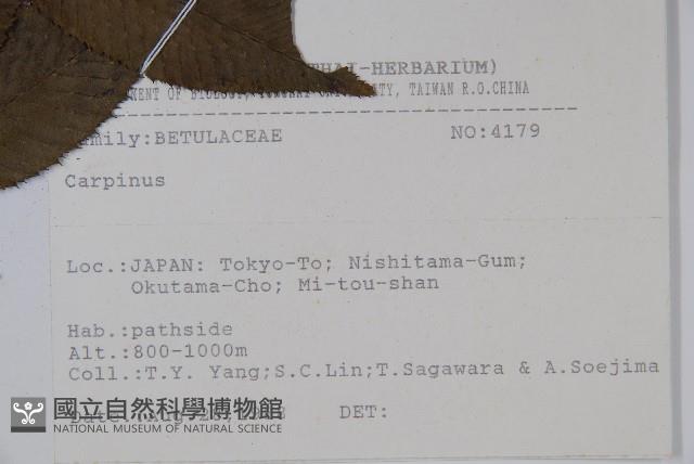 登錄號:S080835藏品圖，第2張