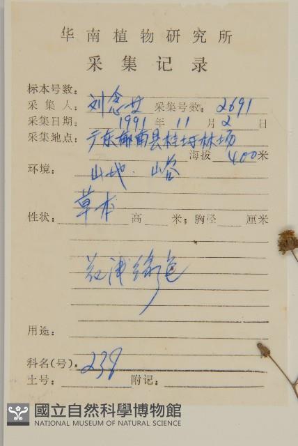 下田菊藏品圖，第2張