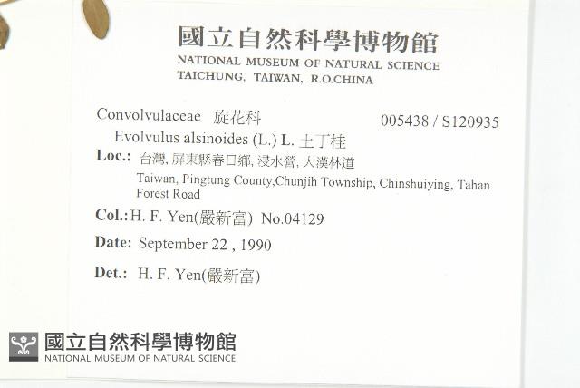 土丁桂藏品圖，第2張