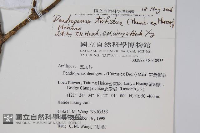 三菱果樹參藏品圖，第5張