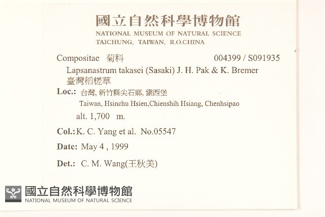 臺灣稻槎草藏品圖，第2張