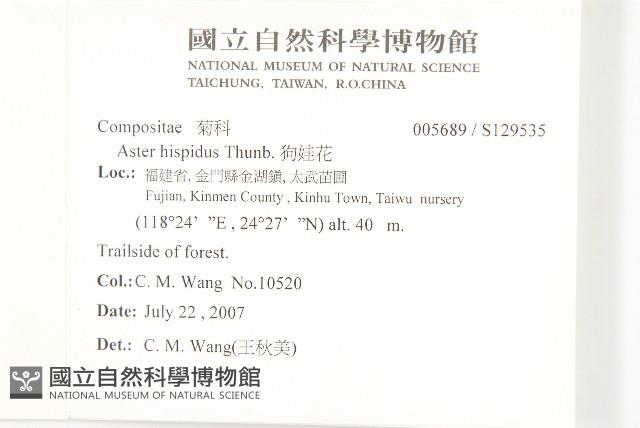 狗娃花藏品圖，第2張