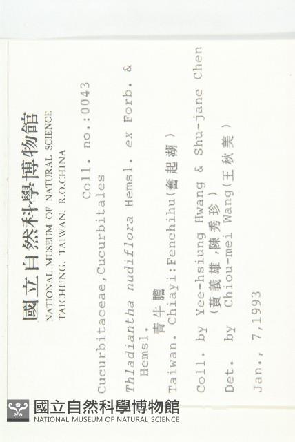 青牛膽藏品圖，第2張