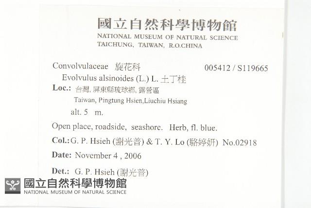 土丁桂藏品圖，第2張