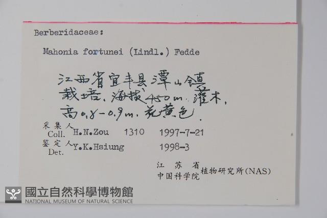 細葉十大功勞藏品圖，第2張