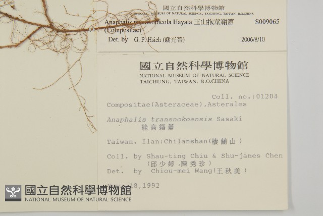 玉山抱莖籟簫藏品圖，第2張