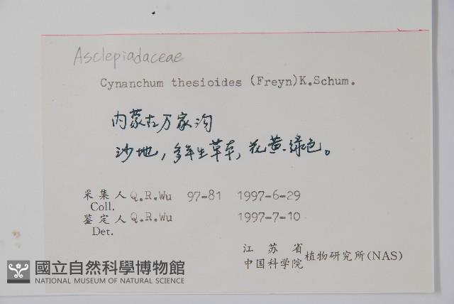 地梢皮藏品圖，第2張