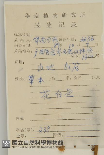 山白蘭藏品圖，第2張