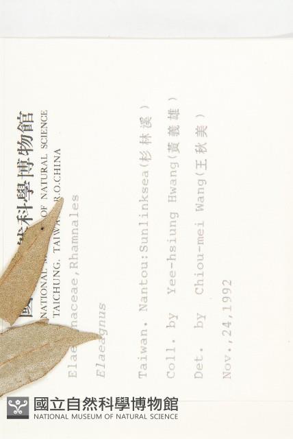 登錄號:S009365藏品圖，第2張