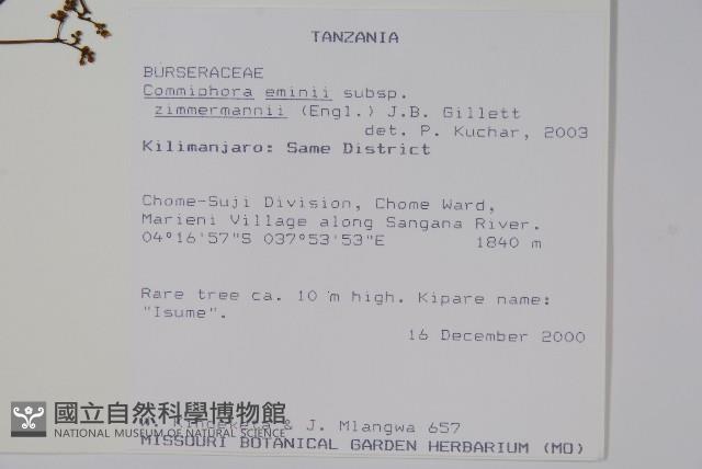 登錄號:S100865藏品圖，第2張