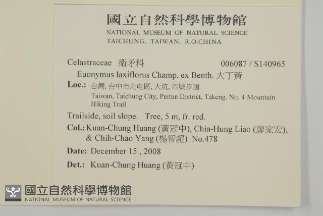 大丁黃藏品圖，第2張