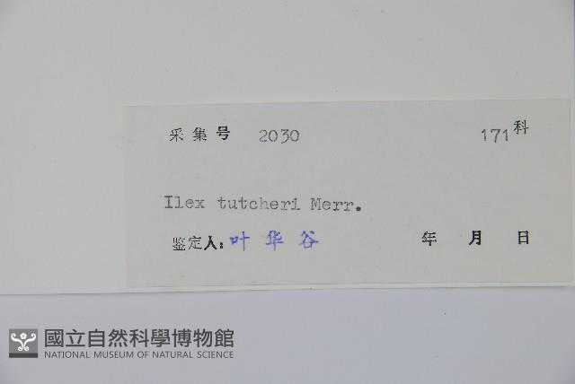 登錄號:S040965藏品圖，第2張