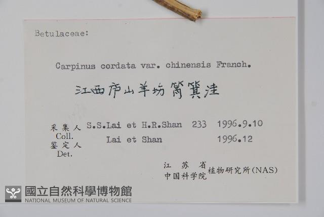 華千金榆藏品圖，第2張