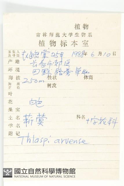 凹果菥蓂、遏藍菜藏品圖，第2張