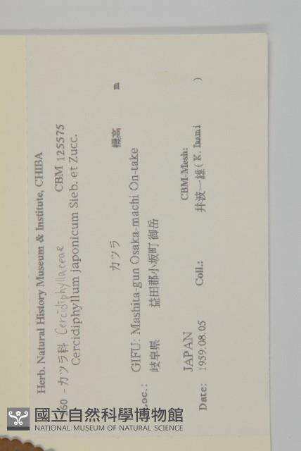 連香樹藏品圖，第2張