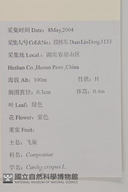 飛廉藏品圖，第2張